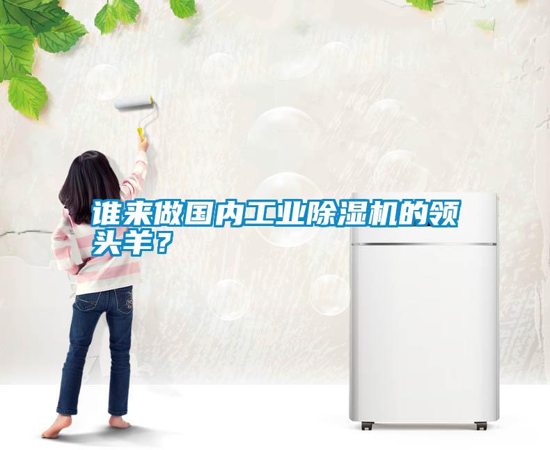 誰來做國內(nèi)工業(yè)除濕機的領(lǐng)頭羊？