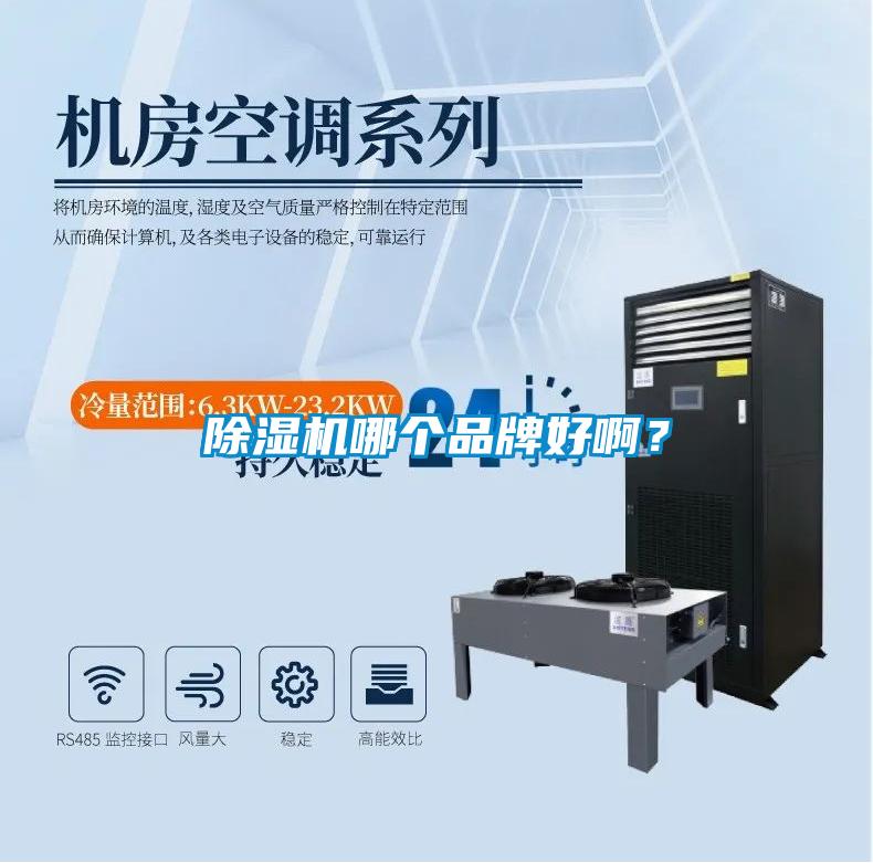 除濕機哪個品牌好啊？