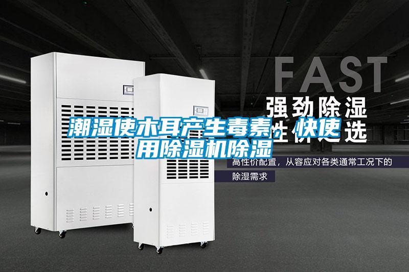 潮濕使木耳產(chǎn)生毒素，快使用除濕機除濕