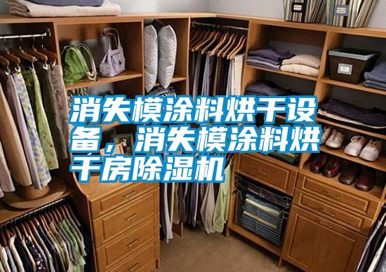 消失模涂料烘干設(shè)備，消失模涂料烘干房除濕機