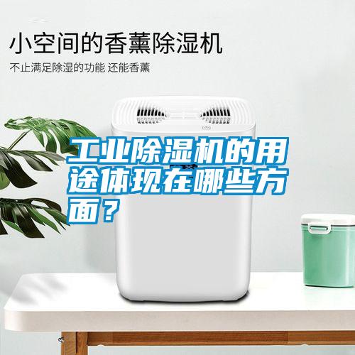 工業(yè)除濕機(jī)的用途體現(xiàn)在哪些方面？