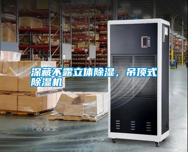 深藏不露立體除濕，吊頂式除濕機(jī)