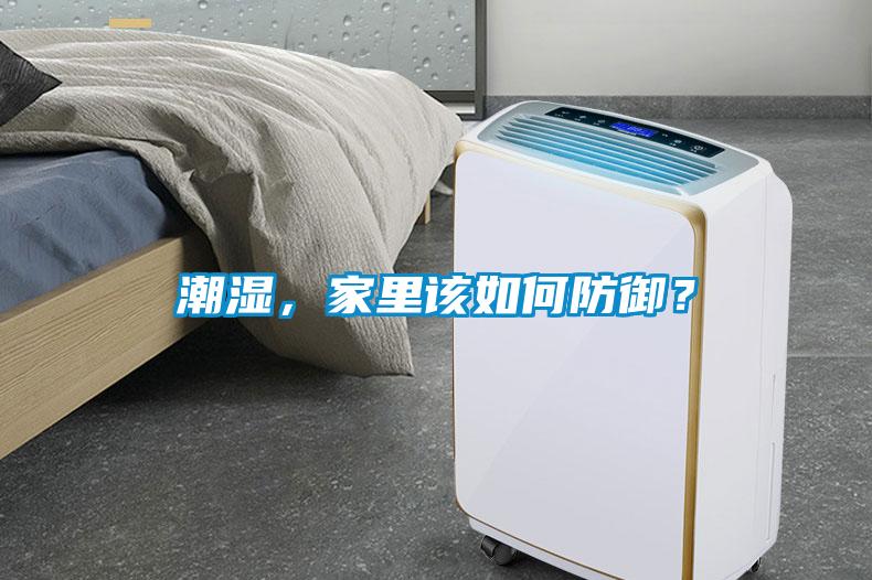 潮濕，家里該如何防御？