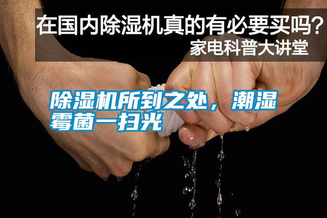 除濕機(jī)所到之處，潮濕霉菌一掃光