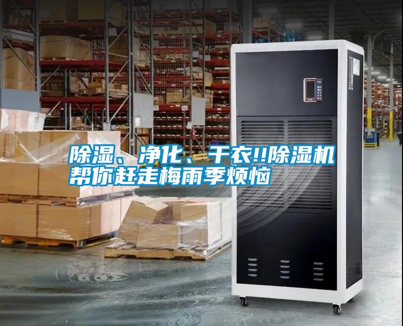 除濕、凈化、干衣!!除濕機(jī)幫你趕走梅雨季煩惱