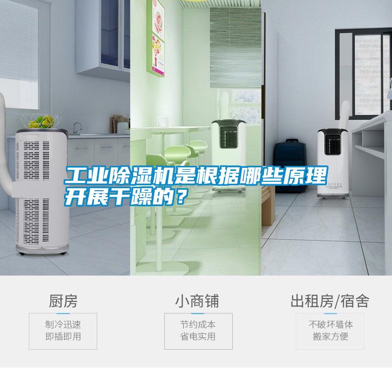 工業(yè)除濕機是根據(jù)哪些原理開展干躁的？