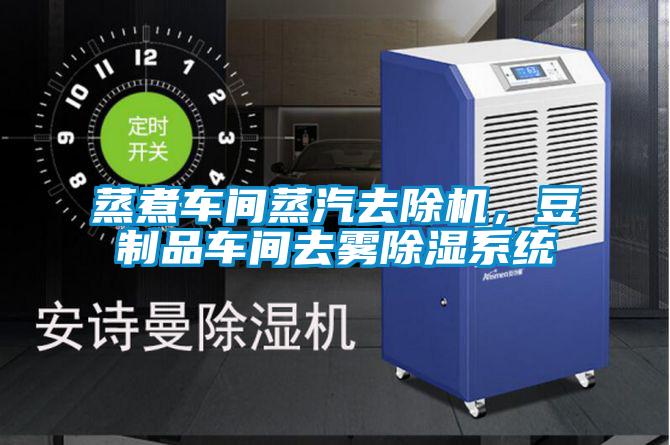 蒸煮車間蒸汽去除機，豆制品車間去霧除濕系統(tǒng)