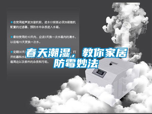 春天潮濕，教你家居防霉妙法