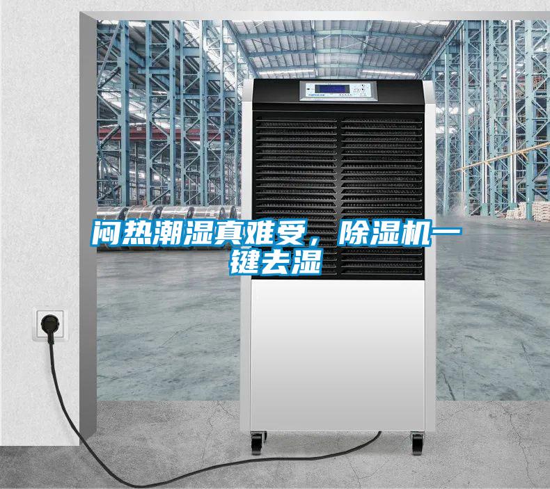 悶熱潮濕真難受，除濕機一鍵去濕