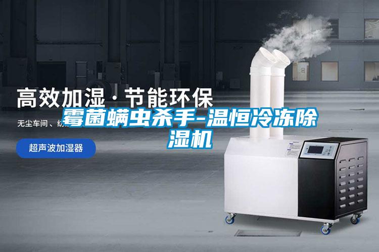 霉菌螨蟲殺手-溫恒冷凍除濕機