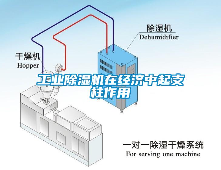 工業(yè)除濕機在經濟中起支柱作用