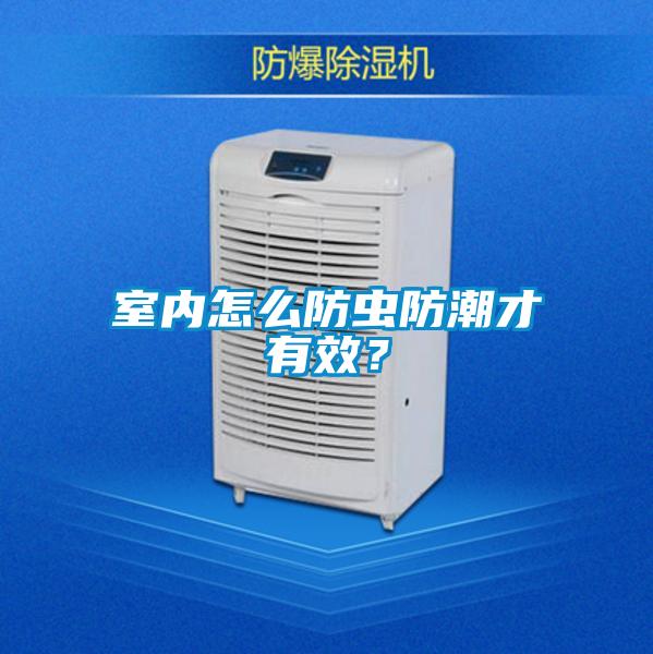 室內(nèi)怎么防蟲防潮才有效？