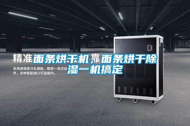 面條烘干機(jī)，面條烘干除濕一機(jī)搞定