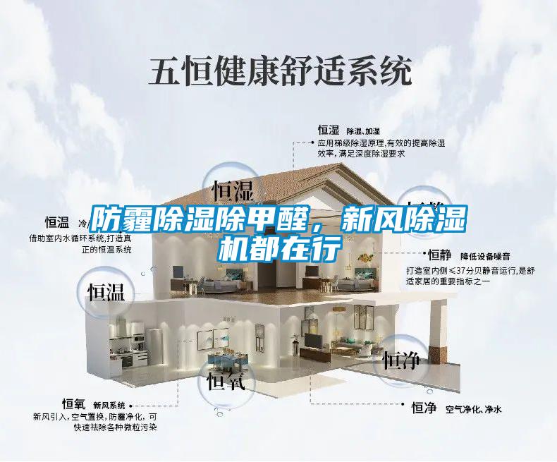 防霾除濕除甲醛，新風(fēng)除濕機都在行