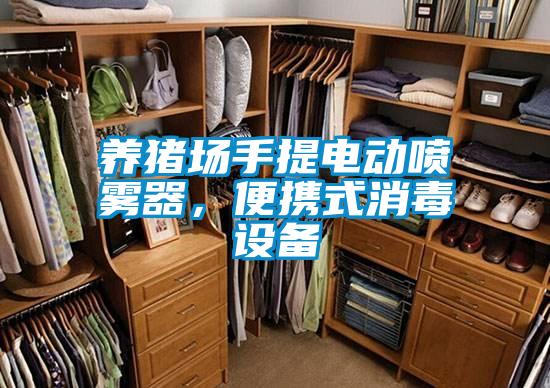 養(yǎng)豬場(chǎng)手提電動(dòng)噴霧器，便攜式消毒設(shè)備