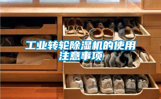 工業(yè)轉(zhuǎn)輪除濕機的使用注意事項