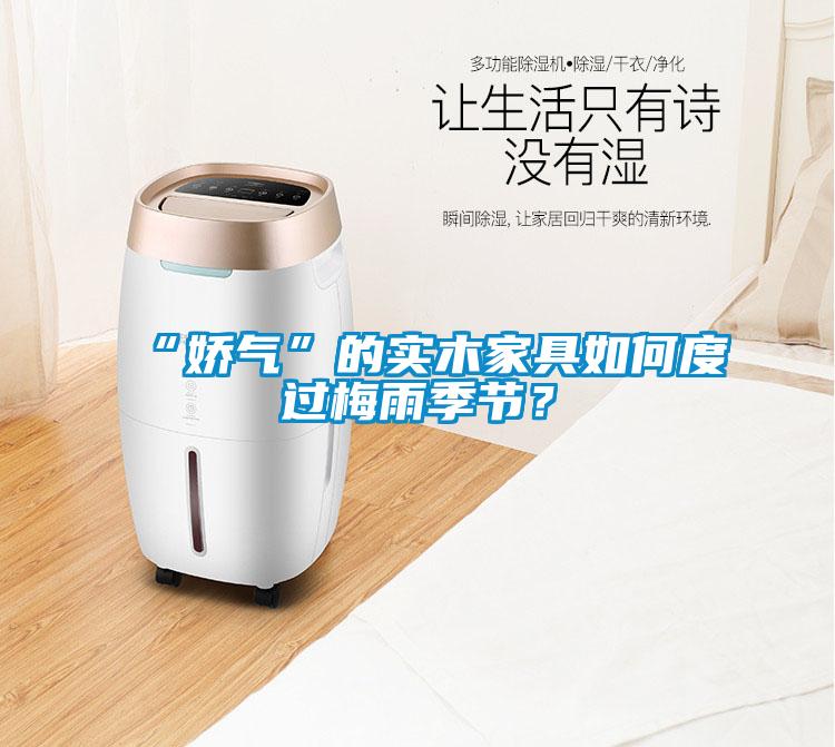 “嬌氣”的實木家具如何度過梅雨季節(jié)？