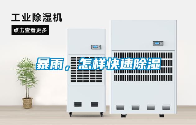 暴雨，怎樣快速除濕
