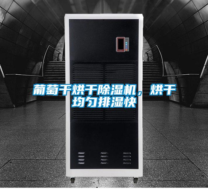 葡萄干烘干除濕機(jī)，烘干均勻排濕快