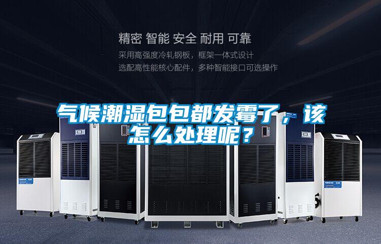 氣候潮濕包包都發(fā)霉了，該怎么處理呢？