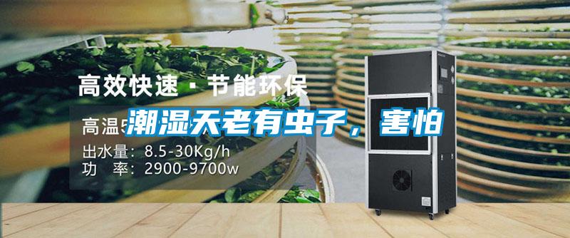 潮濕天老有蟲子，害怕