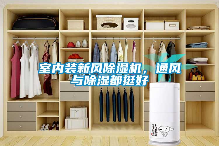 室內(nèi)裝新風(fēng)除濕機(jī)，通風(fēng)與除濕都挺好