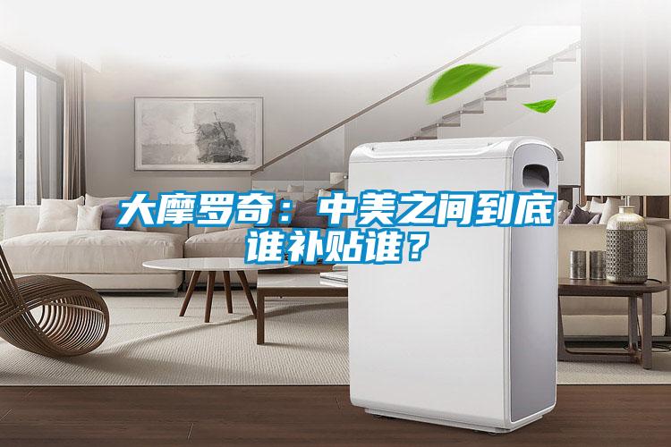 大摩羅奇：中美之間到底誰補貼誰？