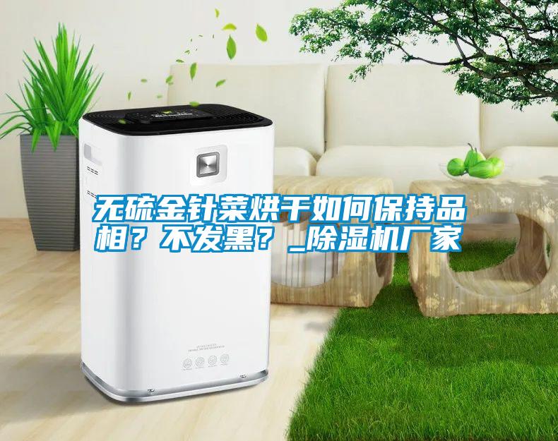 無(wú)硫金針菜烘干如何保持品相？不發(fā)黑？_除濕機(jī)廠家