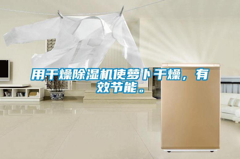用干燥除濕機使蘿卜干燥，有效節(jié)能。