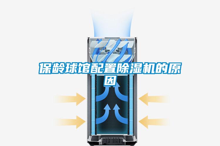 保齡球館配置除濕機(jī)的原因