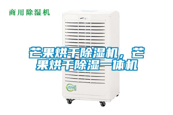 芒果烘干除濕機(jī)，芒果烘干除濕一體機(jī)