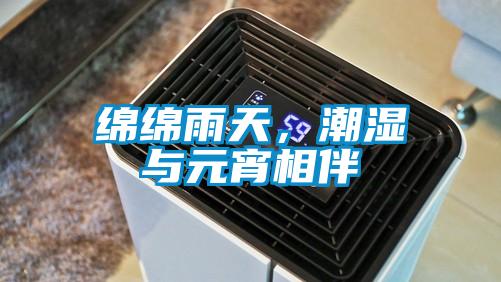綿綿雨天，潮濕與元宵相伴