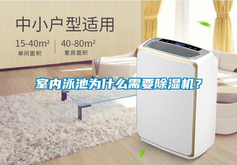 室內(nèi)泳池為什么需要除濕機(jī)？