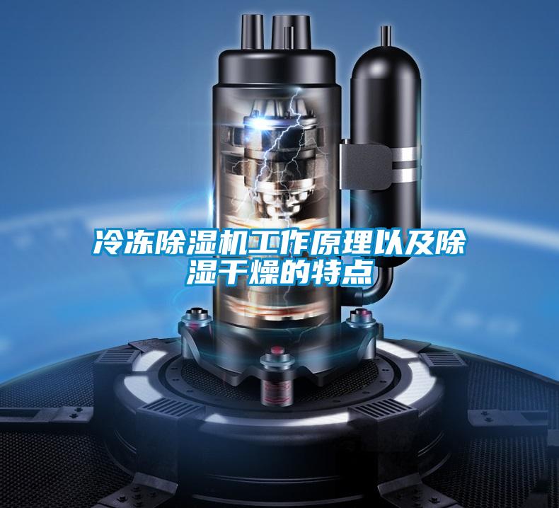 冷凍除濕機(jī)工作原理以及除濕干燥的特點