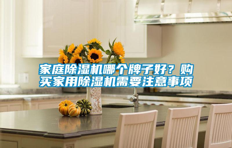 家庭除濕機(jī)哪個(gè)牌子好？購(gòu)買(mǎi)家用除濕機(jī)需要注意事項(xiàng)