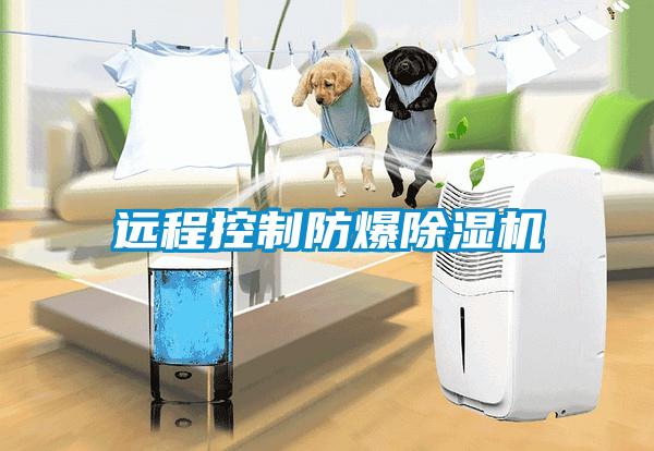 遠(yuǎn)程控制防爆除濕機(jī)