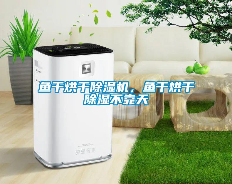 魚干烘干除濕機，魚干烘干除濕不靠天