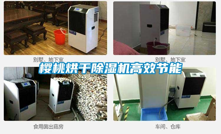 櫻桃烘干除濕機高效節(jié)能