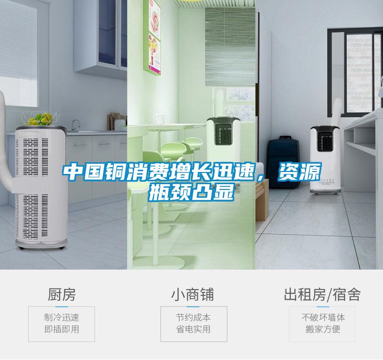 中國(guó)銅消費(fèi)增長(zhǎng)迅速，資源瓶頸凸顯