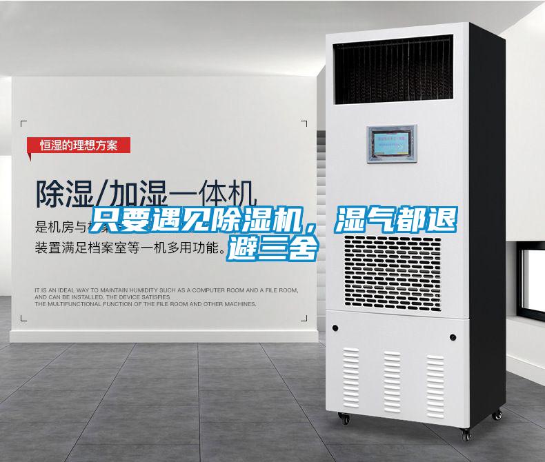 只要遇見除濕機，濕氣都退避三舍