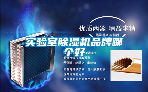 實(shí)驗(yàn)室除濕機(jī)品牌哪個(gè)好