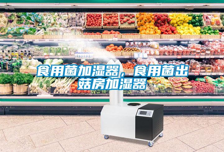 食用菌加濕器，食用菌出菇房加濕器