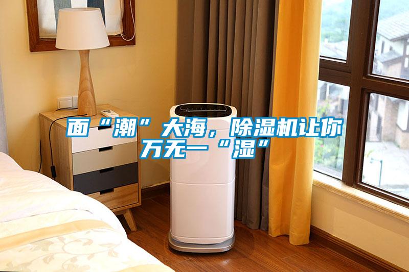 面“潮”大海，除濕機(jī)讓你萬(wàn)無(wú)一“濕”