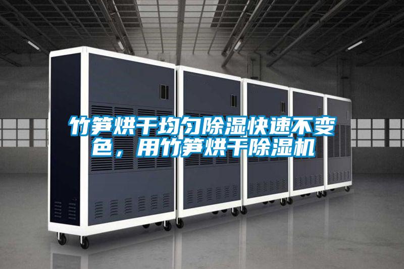 竹筍烘干均勻除濕快速不變色，用竹筍烘干除濕機(jī)