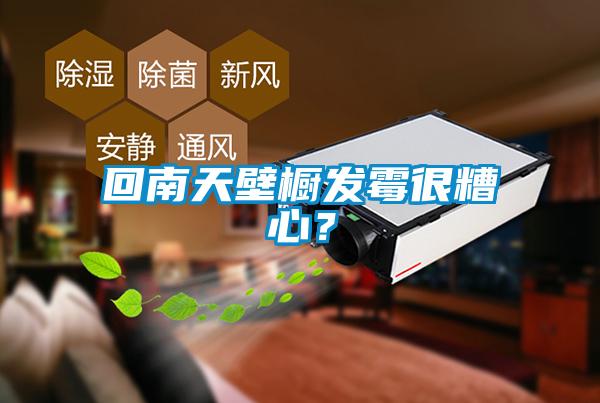 回南天壁櫥發(fā)霉很糟心？