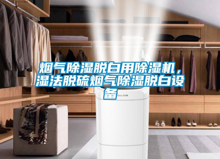 煙氣除濕脫白用除濕機，濕法脫硫煙氣除濕脫白設備
