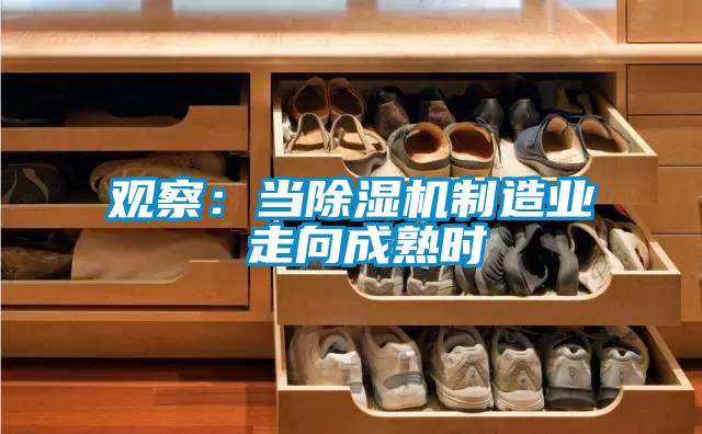 觀察：當(dāng)除濕機(jī)制造業(yè) 走向成熟時