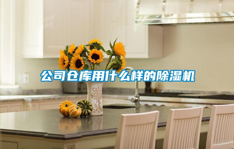 公司倉庫用什么樣的除濕機(jī)