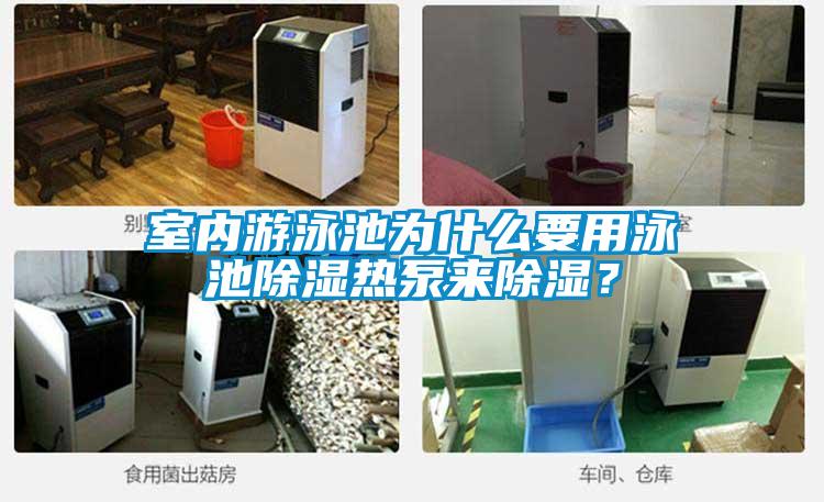 室內游泳池為什么要用泳池除濕熱泵來除濕？