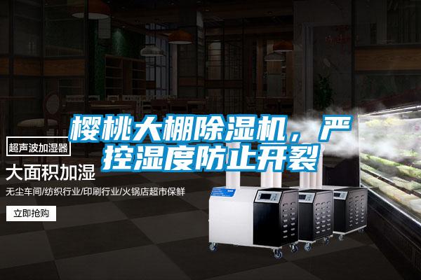 櫻桃大棚除濕機，嚴控濕度防止開裂